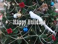 Happy Holidays from the Service Team at Weber Chevrolet in Creve Coeur, MO