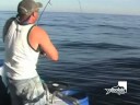 Real Action Aboard \"Reel Therapy\" with Absolute Fishing Charters.
