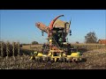 Claas Xerion 3300 trac vc bunker hakselaar met 6 rij kemperbek van ten Hove uit Kamperveen druk bezig langs het schoolpad buiten Uddel (31 oktober 2011).