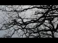 Oure Music - Sing your body electric (HD)