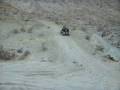 The Rubi