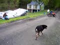 tri-moto in trailer demolition