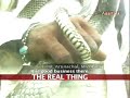 Invoking reptiles: Snakes visit Durga this puja