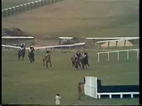 cheltenham gold cup