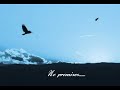 Shayne Ward - No Promises Shayne Ward - No Promises