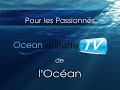 retrouvez des milliers de vid�os sur le nautisme sur www.ocean-attitude.tv