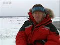 Great Ice Bear Event: Polar Bear Habits Great Ice Bear Event: Polar Bear Habits