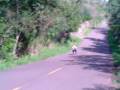 videos de Teotonia Downhill Speed Training