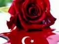 Turkiyem canim benim