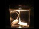 Solpadeine Jason Shulman Harold Edgerton Art Sculpture