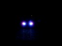 Xentec 30000k HIDs
