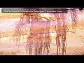 Did Kwame Kilpatrick Murder Tamara Gre..mov