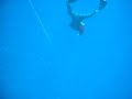 CWT -90m New Japan record by Ryuzo Shinomiya CWT -90m New Japan record by Ryuzo Shinomiya