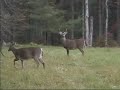 6 Pointer