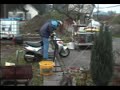 Florin cu mobra prin gradina