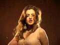 Amisha Patel Photo Gallery and Video Clips Amisha Patel Picture Wallpapers