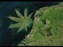 Planet Love