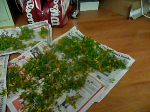 how to make st john's wort oil