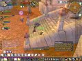 Noobie Paladin
