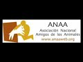 anaa   asociación nacional amigos de los animales