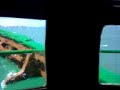 Surfers destination C�diz by Catamar�n