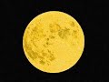 teledysk, klip, Neil Young,- Natural Beauty