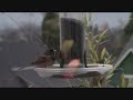 GreenSpaces TV Presents ~ In-City Bird Feeding Station In Winter