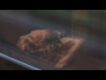 movie #9 De sneltrein heeft vertraging