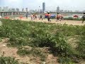 黑胖的马特拉奇--大脚解围，直传海亮。