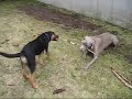 Stick Tease