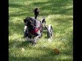 Animales discapacitados. http://groups.msn.com/PerrosAragoneses/