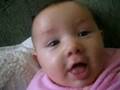 videos de gloria talking