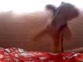videos de Iiztiivii Queen