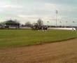 Spring Show 2007