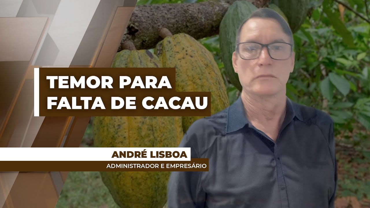 Temor de desabastecimento faz indústria solicitar compra extra de cacau