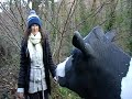 Visit Devon - Daisy's New Year!