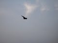 2 KFIR CE Y MIRAGE F1JA EN MANIOBRAS DE EXHIBICION