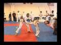 Capoeira Cordao De Contas
