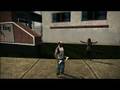 NEW-Saints-Row-2-Tra