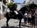tercer video de la saga de las fiestas de alaior mostrando los caballos menorquines listos para el jaleo.