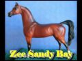 Peter Stone Arabians
