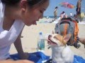 Vicky & Gus: Summer 2008