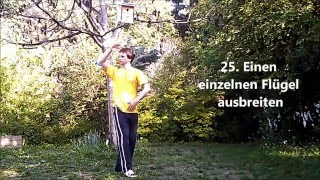 Wildgans-Qigong Vorschau