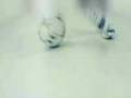 videos de fuball
