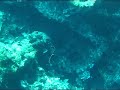 www.turkdivers.com