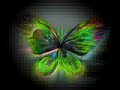 Butterfly Tattoo Butterfly Tattoo