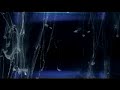 music video