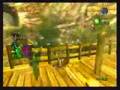 Skip-Golden-Cucco-Wi