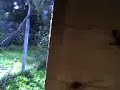 Vamos d epaseo
