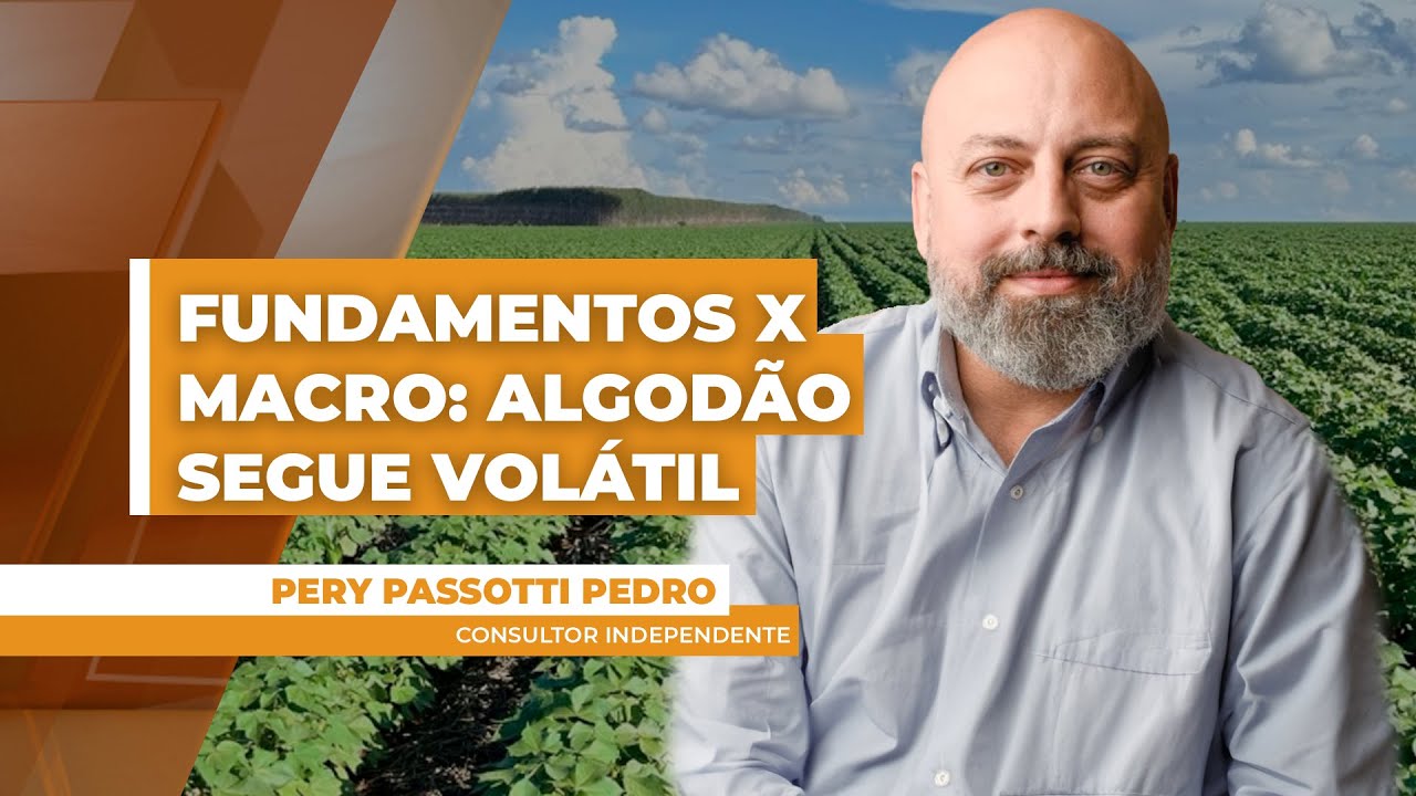 Algodão em NY segue pressionado pelo cenário macroeconômico, porém, de olho na área da nova safra...
